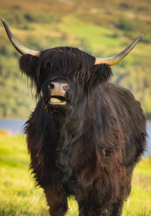 Loch Ness Cottage Fort Augustus Ngoại thất bức ảnh
