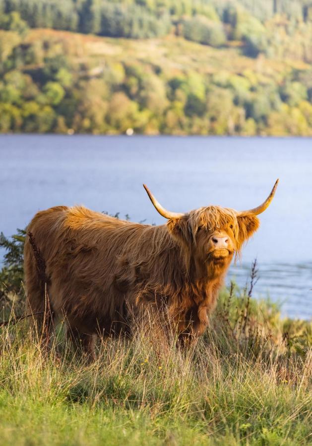 Loch Ness Cottage Fort Augustus Ngoại thất bức ảnh